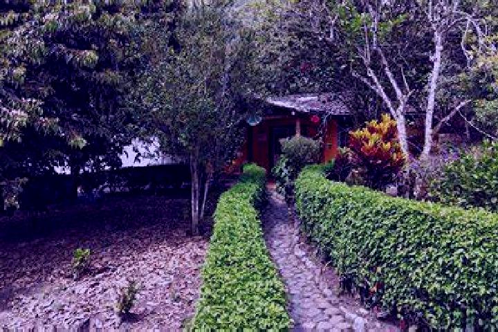 American Roulette (Boldplay) online slot