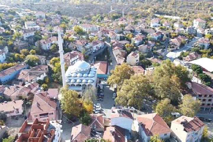 Fortuna Specialty online slot