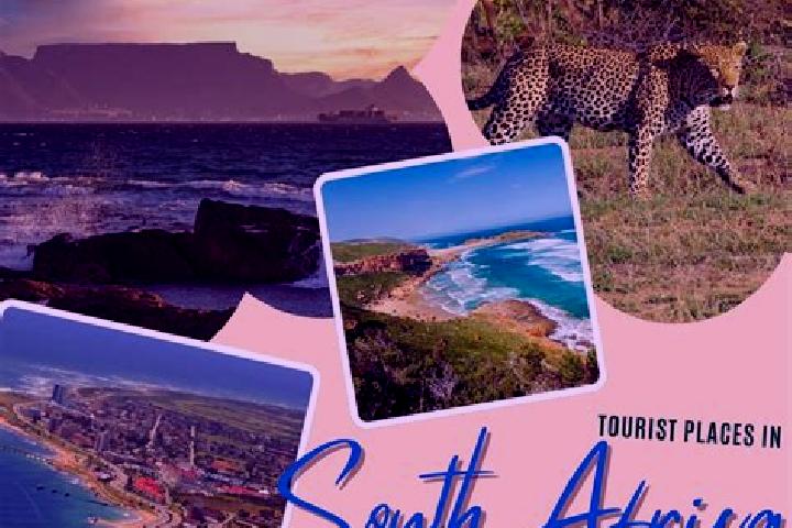 Hot Safari Run online slot