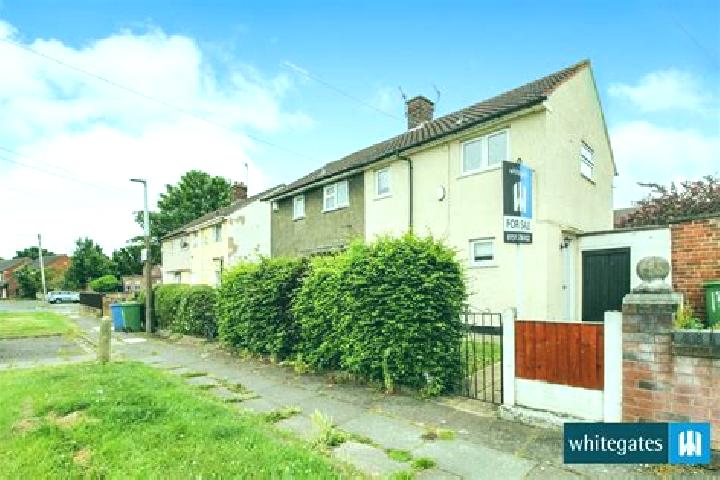Wild Spin Deluxe slot